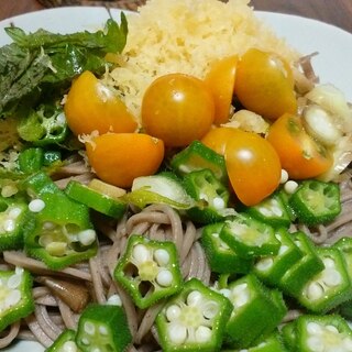 夏野菜と揚げ玉の冷やし蕎麦
